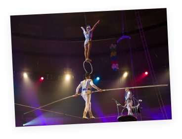 Working The Circuits Image