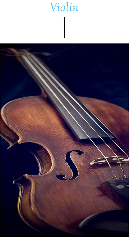 Violas Image