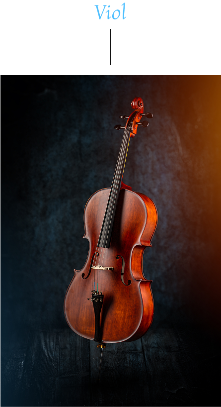 Violins Image