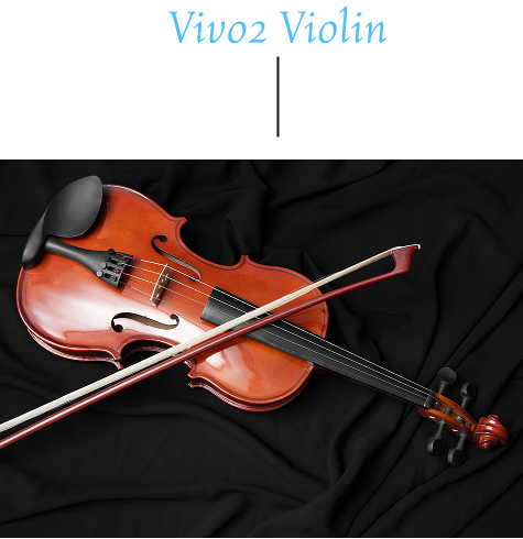 Vivo 2 Violin Image