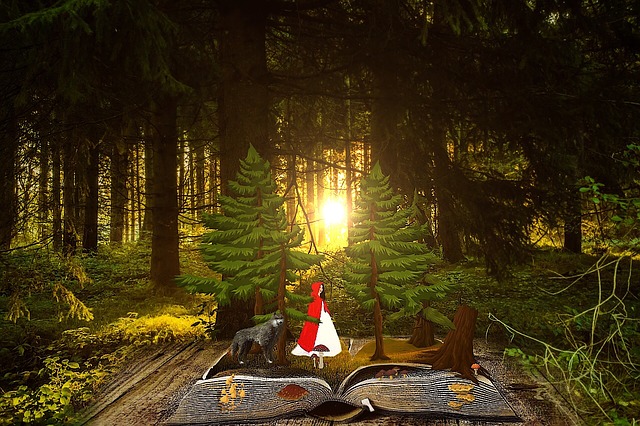 fairy tale book in forest