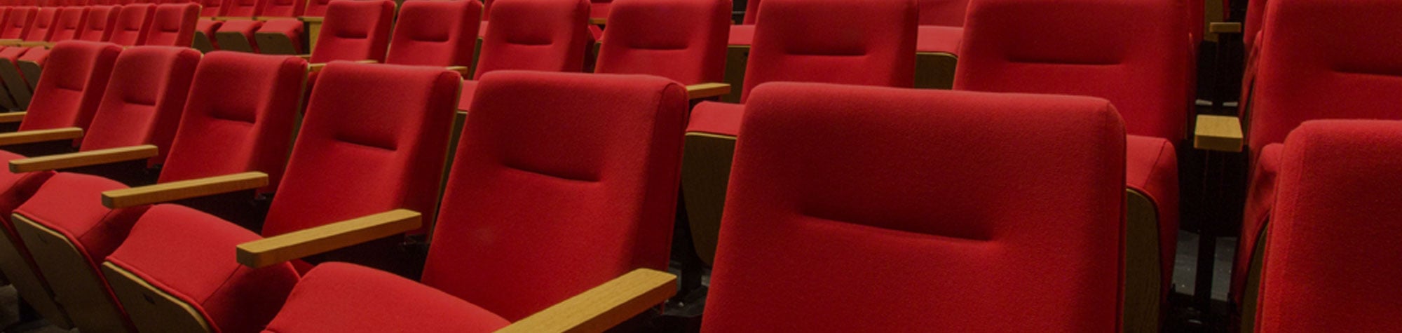 Fixed Seating For Commercial Theater Clients