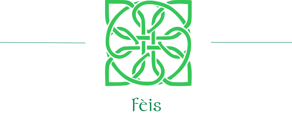 The Plural Of Feis Image