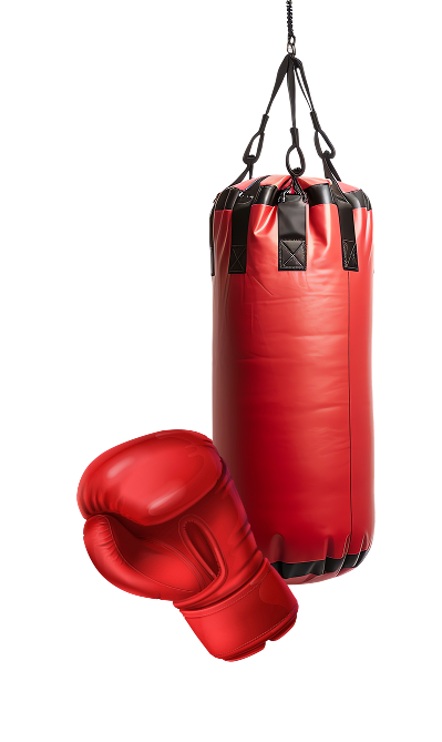 Punch Bag Image