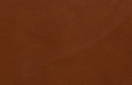 Leather-Appearance-1 - img new
