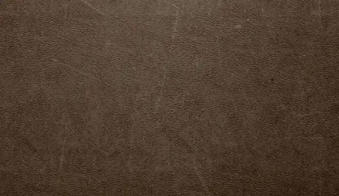 Leather-Appearance-2 - img new