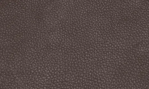 Leather-Appearance-3 - img new