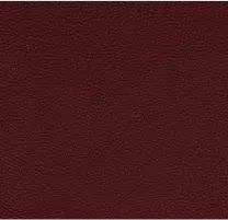 aniline leather -2 - img new