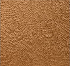 leather swatch