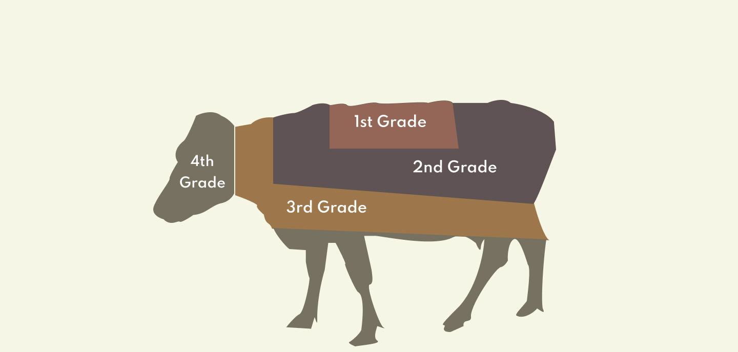 skin grading system of a cow