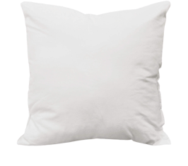 bare pillow