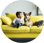 yellow couch with child and dog
