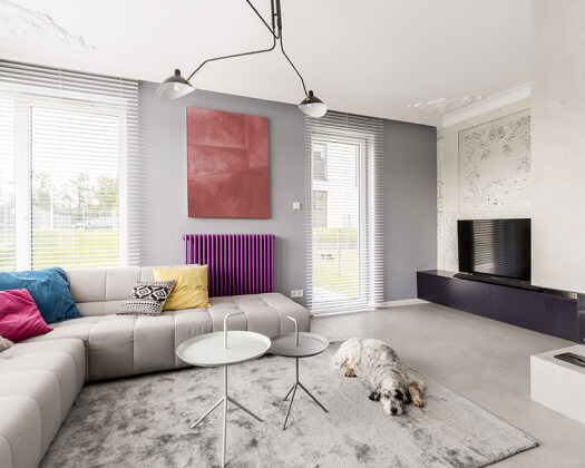 cozy living room with dog