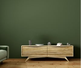 modern storage table with green wall