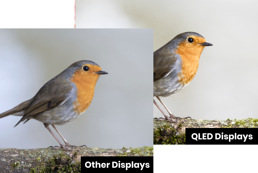 Display Sharper Image