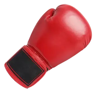 red boxing gloves - img new
