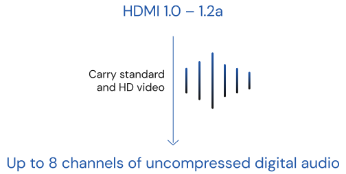 carry standard and hd video
