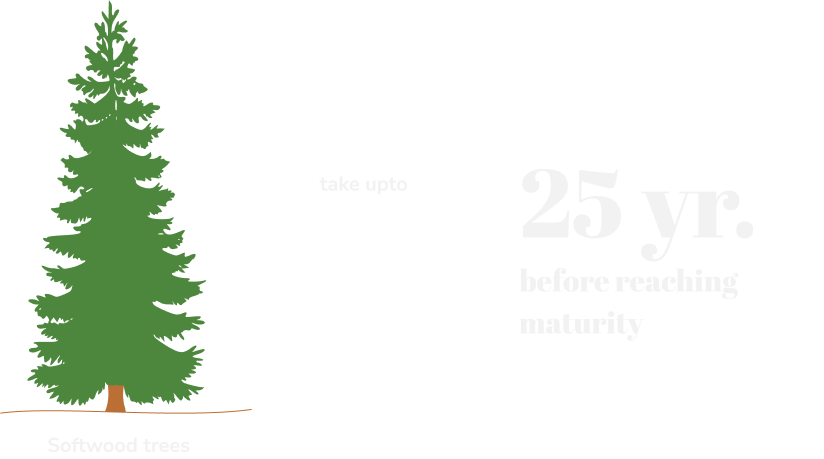 green animated tree