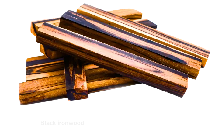 Black ironwood - img new