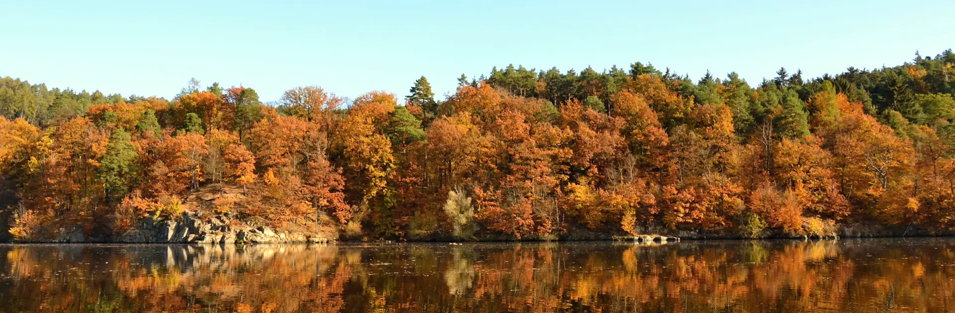 How Can You Distinguish Between Softwoods And Hardwoods-h2 - img new