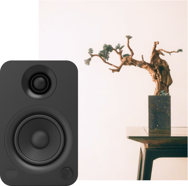 black speaker next to a plant