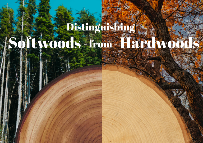 softwoods vs. hardwoods banner