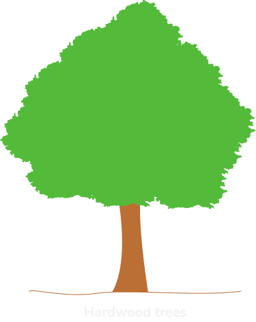 hardwood tree icon