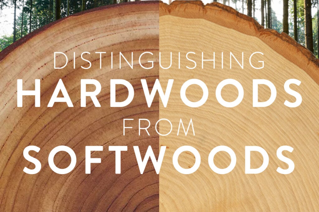hardwood-vs-softwood-featured