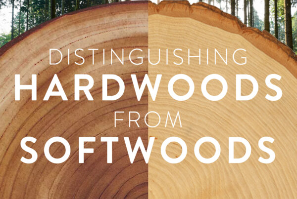hardwood-vs-softwood-featured