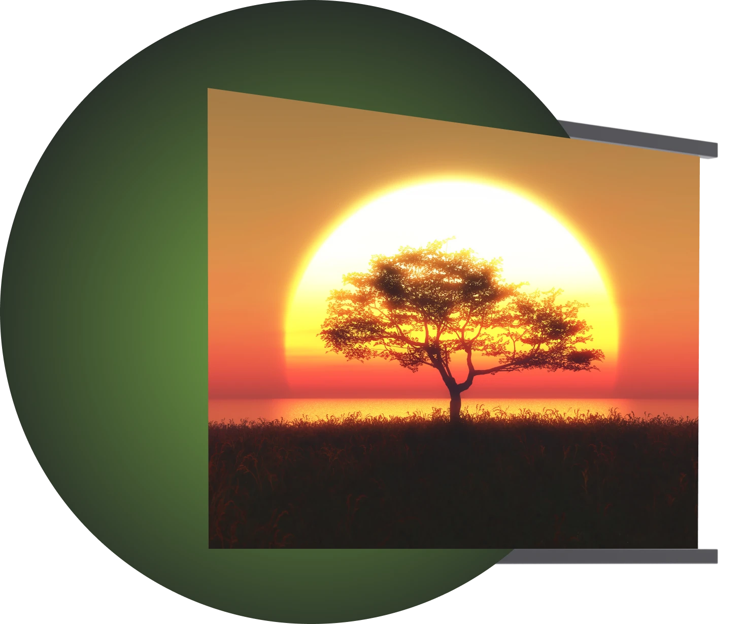 Buy a motorized projector screen Image_