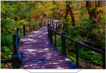 HD ready TV - img new