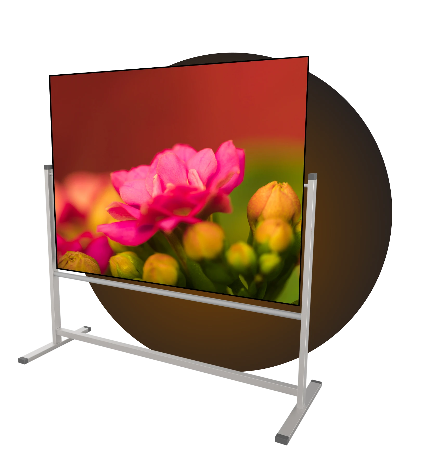 manual or fixed projector screen Image_