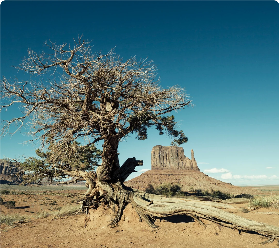River Thames Weather Image_