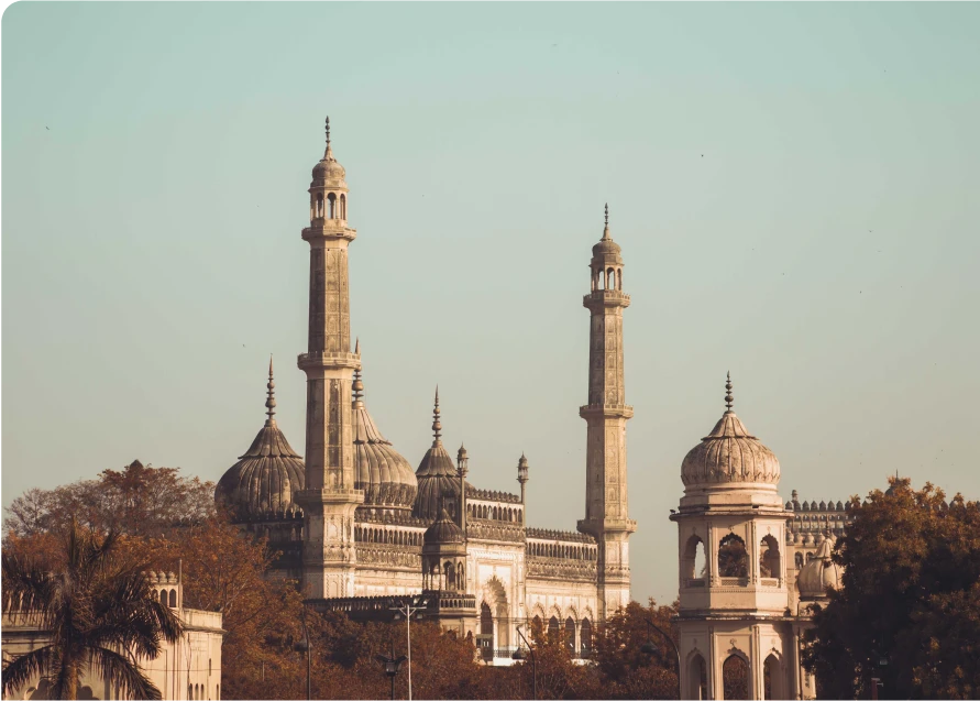 The Global Layout Image_