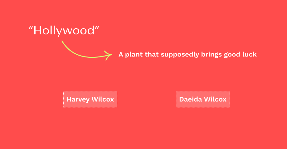 Hollywood Plant