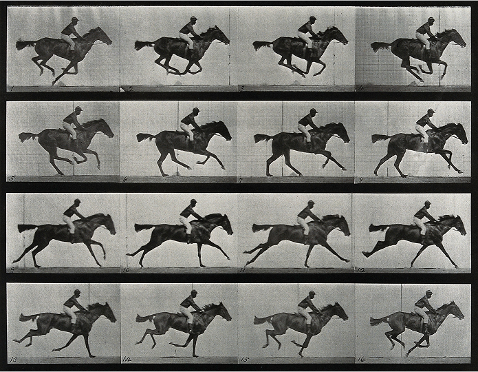 Muybridge work in moving picture Image