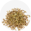 Garden-y Herby Cheesy Popcorn dried Fennel Image