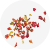 Pizza Please Popcorn crushed red pepper flakes Image