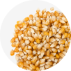 Tex-Mex Spiced Popcorn Kernels Image