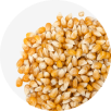 Tex-Mex Spiced Popcorn Kernels Image
