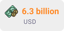 6.3 billion