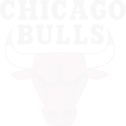 bulls logo