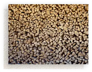 Cut pile - img new