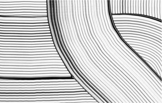 Organic Forms - img new