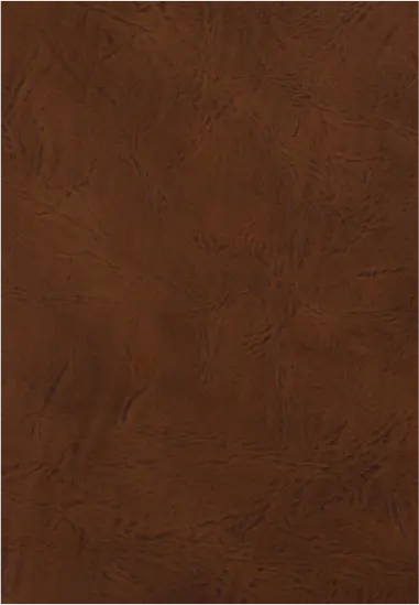 Upholstery - img new