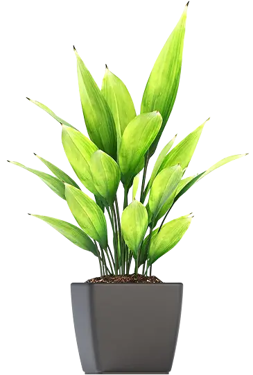 mid-century-h1-decorative-flowers-plant-img