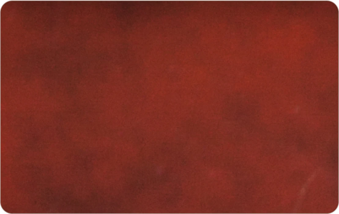 Apple leather Image_