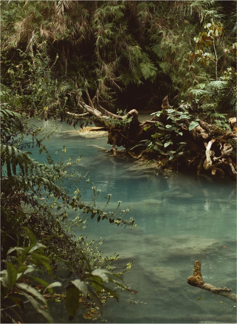 Brazil’s indigenous territory Image_