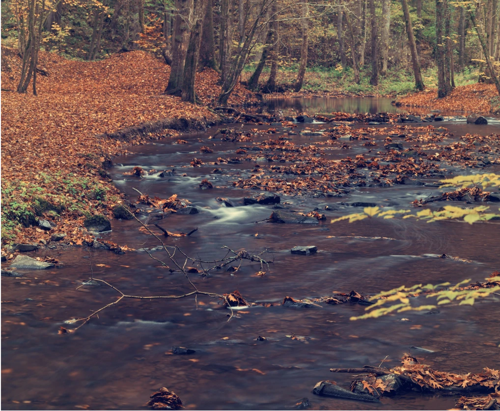 Water Pollution Image_