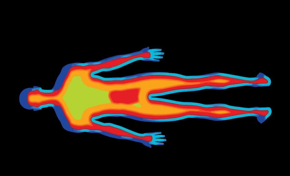 body types present varying pressure distribution Image_